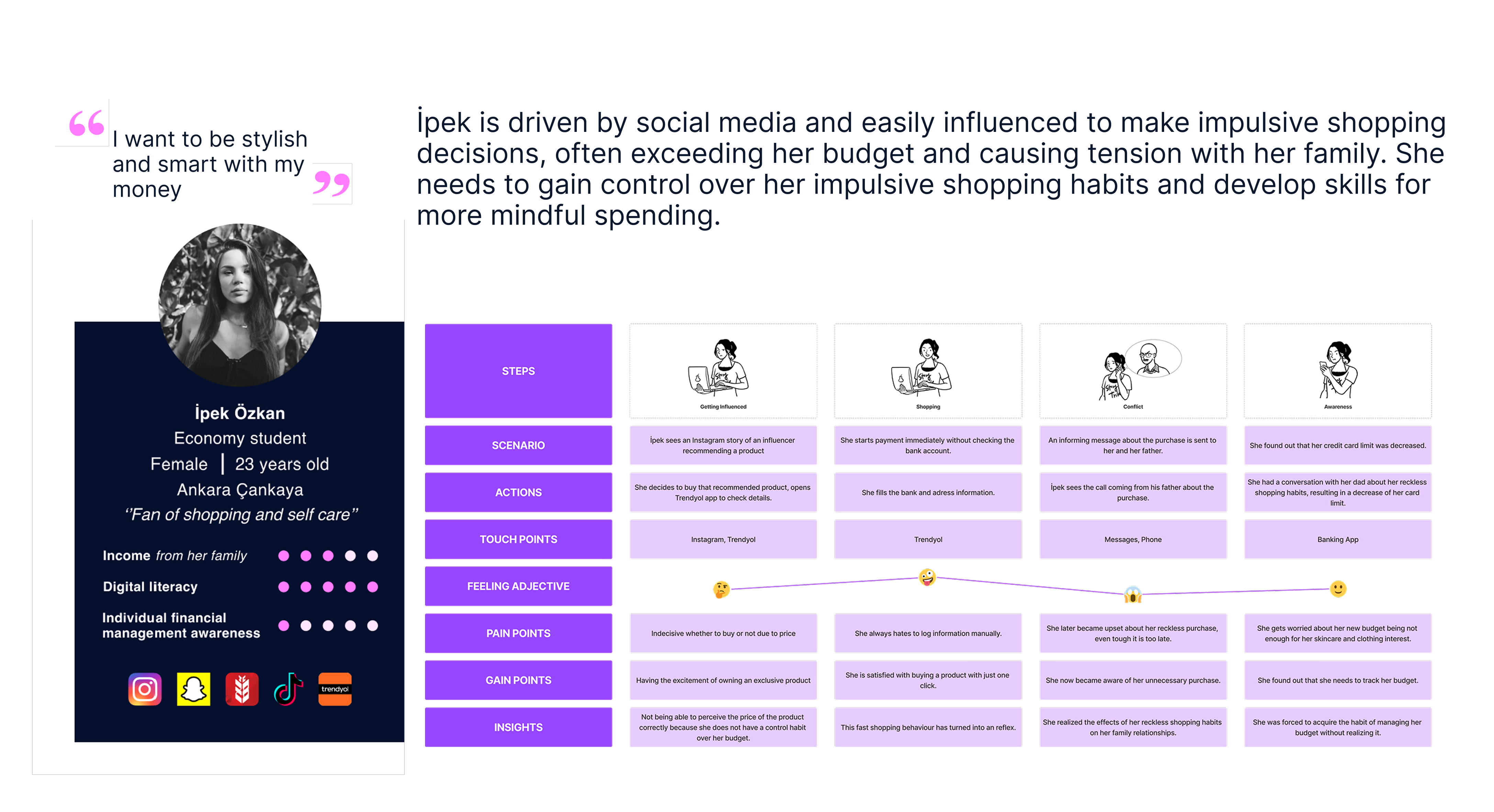 Pinty persona and journey mapping visual